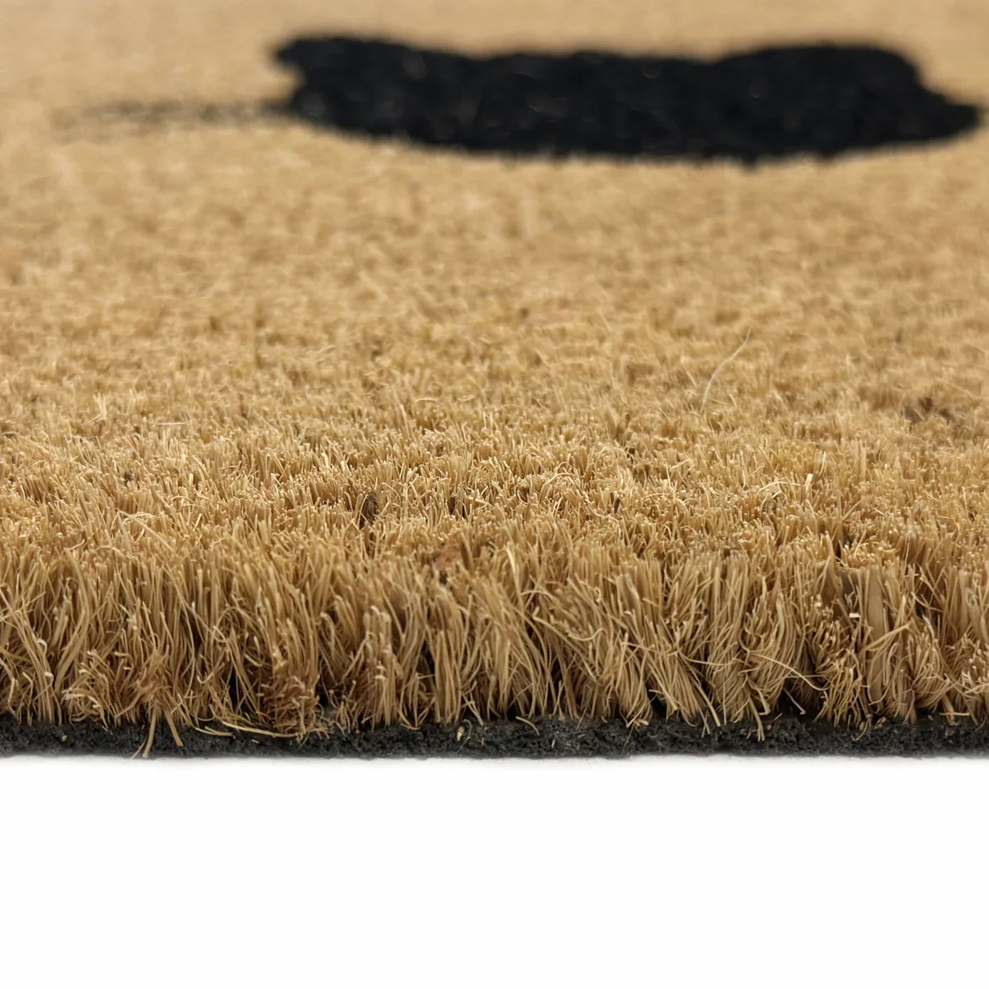 Kasmir Rugs Cat Home Coco Door Mat, 40cmx60cm, Multi - Image 3